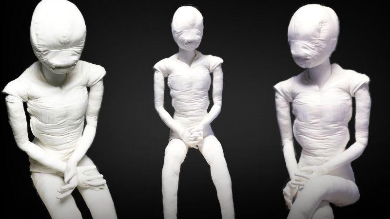 画像2:しめのん30号(カバーなし)