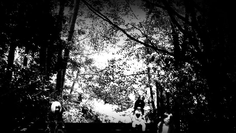 夏の終わりの山