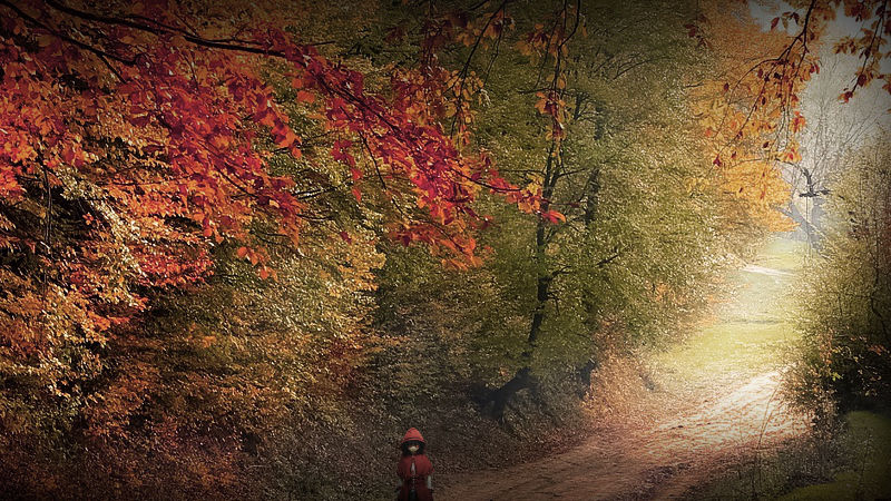 秋、山道を散歩する等身大人形。２号。鳥瞰２枚目。