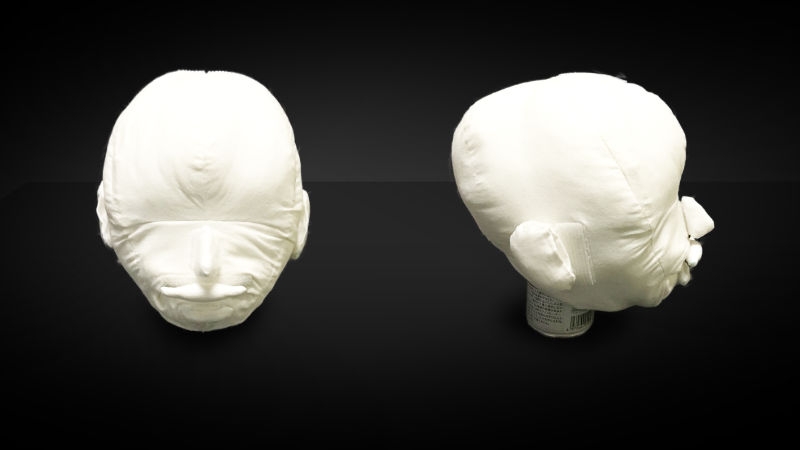 画像2:耳、鼻、上唇、下唇をつけた頭部の、正面と側面