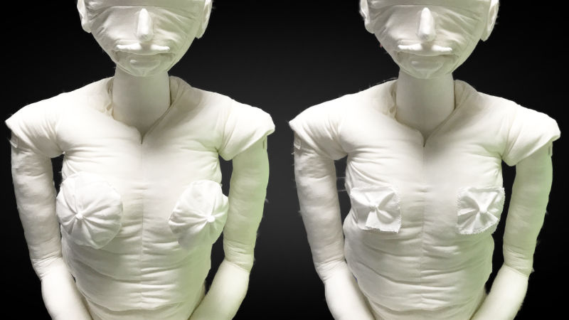 画像3:膨らみのある胸、膨らみのない胸