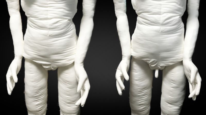 画像4:股間、男女の違い