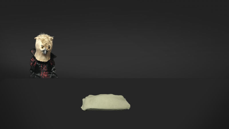 画像１：生地ジャージー